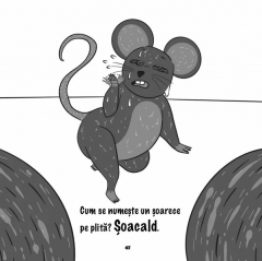 Rasul mi-e prieten bun