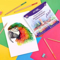 Set 24 creioane colorate din lemn de cedru - Artist