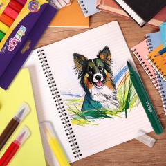 Set 12 carioci tip pensula - Jumbo