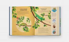 Nature's Tiny Champions