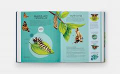 Nature's Tiny Champions