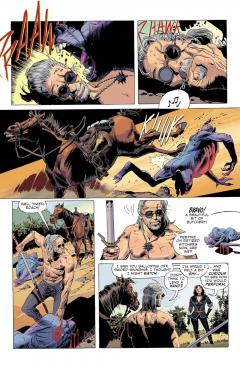 The Witcher - Volume 9