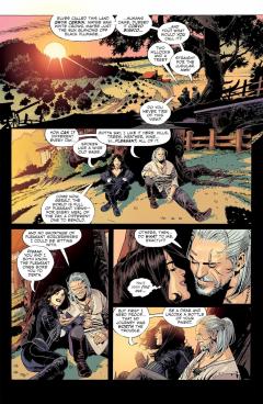 The Witcher - Volume 9