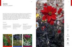 The Flower Thesaurus