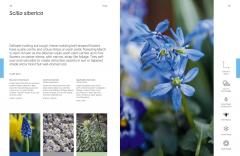 The Flower Thesaurus