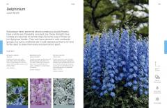 The Flower Thesaurus