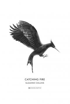 Catching Fire (Deluxe Edition)