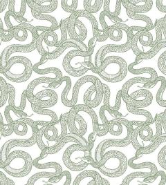 Romantasy Coloring Book