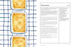 The Medicinal Garden