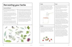 The Medicinal Garden