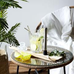 Set preparare mojito 