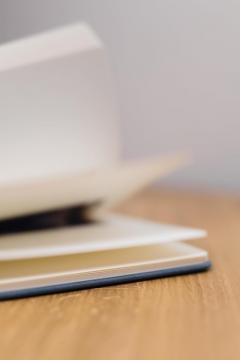 Carnet 3D - Girl with a Pearl Earring