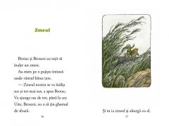 Zile cu Broscoi si Brotac