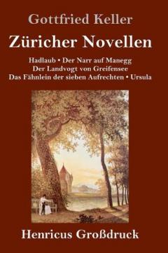 Coperta cărții Zuricher Novellen (Großdruck)