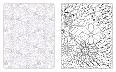 Wildflowers in Bloom