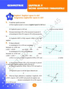 Matematica - Caiet de vacanta. Clasa a VI-a