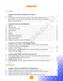 Matematica - Caiet de vacanta. Clasa a VI-a