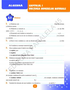 Matematica - Caiet de vacanta. Clasa a VI-a