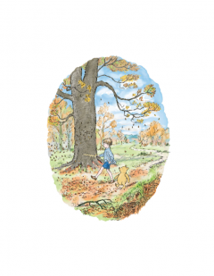 Cel mai bun urs din lume