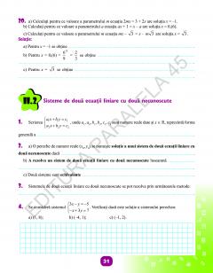 Matematica - Caiet de vacanta, clasa a VII-a