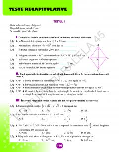 Matematica - Caiet de vacanta, clasa a VII-a