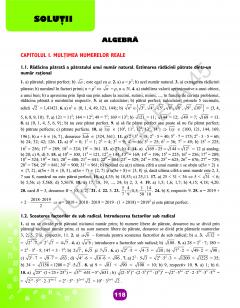 Matematica - Caiet de vacanta, clasa a VII-a