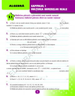 Matematica - Caiet de vacanta, clasa a VII-a