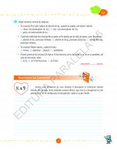 Scrisorile verii - Caiet de vacanta pentru Limba si literatura romana, clasa a VI-a