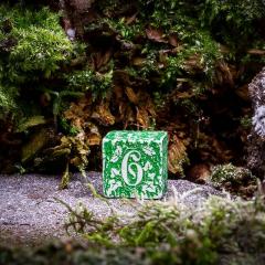 Set 7 zaruri - Forest Tundra
