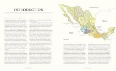 The Curious Bartender’s Agave Safari