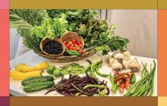 Black Girls Gardening