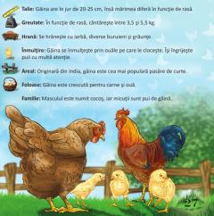 Prima mea enciclopedie. Animale domestice