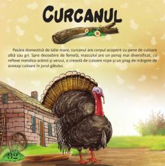 Prima mea enciclopedie. Animale domestice