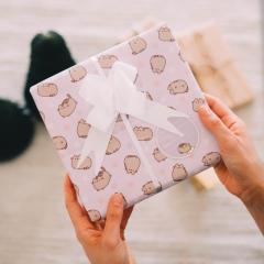 Hartie de impachetat - Pusheen