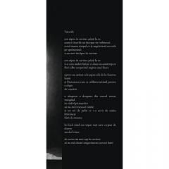 Clandestin in Parnas