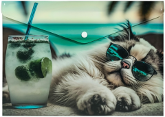 Mapa A4 din plastic cu buton - Chillout Cat