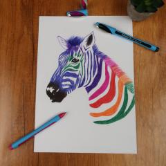 Pix - Schneider - Slider Memo XB, albastru