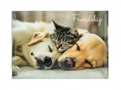 Mapa A4 din plastic cu buton - Friendship