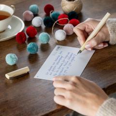 Stilou - Schneider Ceod Shiny - Bronz