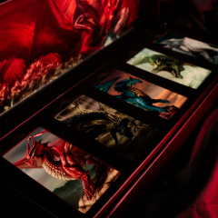 Set de colectie - Dungeons & Dragons - 5 Chromatic Dragons Ingots