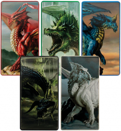 Set de colectie - Dungeons & Dragons - 5 Chromatic Dragons Ingots