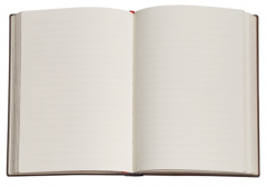 Carnet - Black Edition - Ultra, Lined, Hardcover