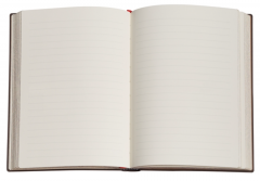 Carnet - Jane Austen, Persuasion - Embellished Manuscripts - Ultra, Lined, Wrap