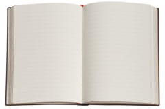 Carnet - Blue Willow - Midi, Lined, Wrap