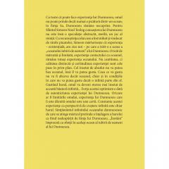 Experienta harului in teologia Sfantului Simeon Noul Teolog