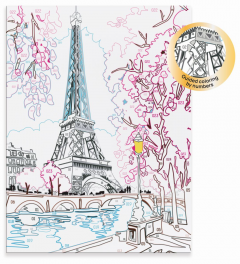 Set pictura pe numere + rama - Parisul primavara