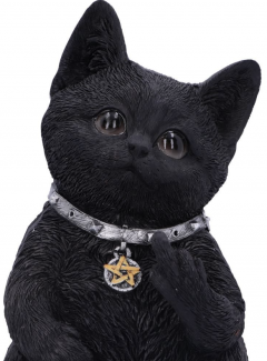 Figurina - Cattitude