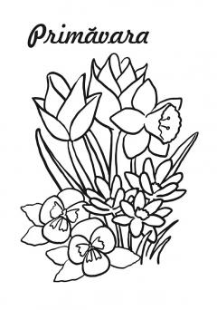 Haideti sa coloram si sa ne jucam printre anotimpuri