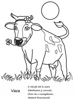 Haideti sa coloram - Animale