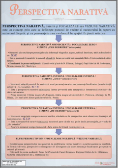 Plansa - Perspectiva narativa 